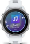 cumpără Ceas inteligent Garmin Forerunner 170 Music, GPS, WiFi, Whitestone/Cloud Blue, WW (010-03920-11) în Chișinău 