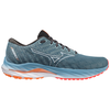 купить Кроссовки для бега Mizuno WAVE INSPIRE 19 J1GC2344 01 в Кишинёве 