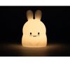 купить Ночной светильник bo. 8042ML Rabbit в Кишинёве 