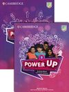 купить Power Up Level 5	Activity Book with Online Resources and Home Booklet в Кишинёве 