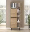 купить Офисный шкаф Trendy ON10B-S, multifunctionala (GTR006727) в Кишинёве 