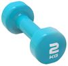 купить Гантель LivePro LP8076/02/BU Colored Studio Dumbbell 2KG в Кишинёве 