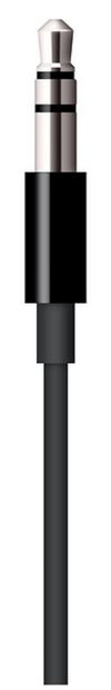 купить Кабель для моб. устройства Apple Lightning to 3.5mm Audio Cable MR2C2 в Кишинёве 
