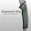 купить Нож походный Civivi C23027-DS1 Tranquil, mâner Canvas Micarta, Liner Lock в Кишинёве 