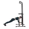 купить Турник inSPORTline 2703 Aparat multifunctional Power Tower PT60 IN21512 в Кишинёве 