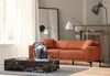 купить Диван Trendy Petra-3 Portocaliu (3 locuri) в Кишинёве 