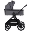 купить Детская коляска Lionelo Carucior 2in1 Layla Grey Stone в Кишинёве 