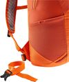 купить Рюкзак спортивный Deuter Speed Lite 17 paprika saffron в Кишинёве 