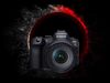 купить Фотоаппарат беззеркальный Canon EOS R6 Mark II 5.0GHz Body (5666C031) в Кишинёве 