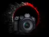 cumpără Aparat foto mirrorless Canon EOS R6 Mark II 5.0GHz Body (5666C031) în Chișinău 