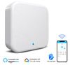 купить Центр управления умным домом TTLock для дверных ручек TTLock G2 bluetooth gateway/Hub в Кишинёве 
