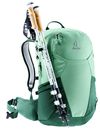 купить Туристический рюкзак Deuter Futura 25 SL spearmint-seagreen в Кишинёве 