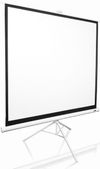 купить Экран для проекторов Elite Screens T120NWV1 в Кишинёве 