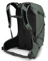 cumpără Rucsac sportiv Osprey Sportlite 25 Pine Leaf Green M/L în Chișinău 