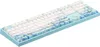 купить Игровая клавиатура Varmilo MA108 Jasmine 108Key, EC V2 Ivy, USB-A, EN, White Led, black в Кишинёве 
