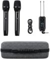 купить Микрофон RBR D-15E - Set 2 Microfoane Fără Fir в Кишинёве 