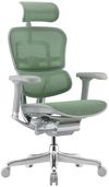 купить Офисное кресло ART Ergohuman Elite 2 Green T-168-B6 EHE2-AG-HAM-5D-L в Кишинёве 