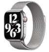 купить Ремешок Apple 45mm Silver Milanese MTJR3 в Кишинёве 