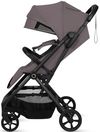 купить Детская коляска Lionelo Tansi Beige Taupe в Кишинёве 