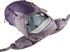 cumpără Rucsac turistic Deuter Futura Pro 34 SL purple-lavender în Chișinău 