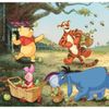 cumpără Puzzle Clementoni Puzzle 3x48 Square Disney Winnie the Pooh (25063) în Chișinău 