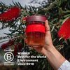 cumpără Cană termos KeepCup BREW - CHAI - M / 340ml în Chișinău 