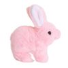 cumpără Jucărie de pluș Noriel S01004250 Iepuraș (interactivă) în Chișinău 