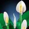 купить Конструктор Lego 11504 Peace Lily в Кишинёве 