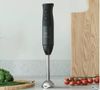купить Блендер погружной Electrolux E3HB1-4GG в Кишинёве 