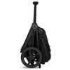 купить Детская коляска Lionelo Carucior 2in1 Freya Black Onyx в Кишинёве 