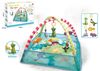cumpără Covoraș de joacă Hola Toys 58584 covoras pentru bebelusi în Chișinău 