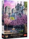 купить Головоломка Trefl 10858 Premium Plus - Photo Odyssey: Notre-Dame Cathedral of Paris (1000 pcs) в Кишинёве 