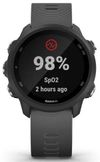 купить Смарт часы Garmin Forerunner 245 Grey в Кишинёве 