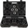 купить Гантель Zipro Iron Dumbbell Set 2x10kg в Кишинёве 