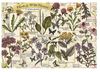 cumpără Puzzle Trefl 37478 Puzzle 500. Herbarium în Chișinău 