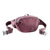 купить Сумка напоясная Deuter Organizer Belt, 3900421 в Кишинёве 