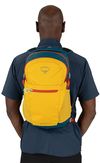 купить Рюкзак городской Osprey Daylite Plus 20 Dazzle Yellow/Venturi в Кишинёве 