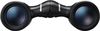 купить Бинокль Nikon Aculon T02 10x21 Black в Кишинёве 