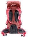 cumpără Rucsac turistic Deuter Climber 22 redwood-hibiscus în Chișinău 