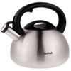 cumpără Ceainic aragaz Tefal N4180217 2,5l în Chișinău 