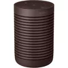cumpără Boxă portativă Bluetooth Bang & Olufsen Beosound Explore Chestnut în Chișinău 