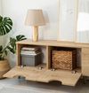 cumpără Comodă TV Trendy Four Seasons, Oak v2 în Chișinău 