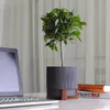 cumpără Ghiveci pentru flori Aleana 128022 Oslo cu insertie si suport decorartiv d12 cm, granite în Chișinău 