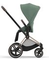 купить Аксессуар для колясок Cybex 523000773 Sezut pentru carucior Priam 4.0 Leaf Green Dark Green в Кишинёве 