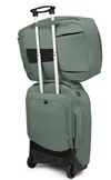 cumpără Rucsac sportiv Osprey Porter 46 Koseret Green (843820166453) în Chișinău 