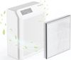 купить Фильтр для очистителя воздуха EvoAir HOMI P300, 3in1, Filtru True HEPA, Filtru Carbon Activ в Кишинёве 