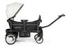 купить Детская коляска BabyGo BGO-7301 Carucior tip wagon Cozy Rider в Кишинёве 