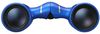 купить Бинокль Nikon Aculon T02 8x21 Blue в Кишинёве 