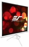 cumpără Ecran pentru proiector Elite Screens T119NWS1 în Chișinău 