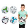 купить Мяч Toi-Toys 62223Z Minge de fotbal №5 Adrenix , 4 modele в Кишинёве 